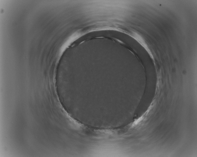 X0000066541197200603311837