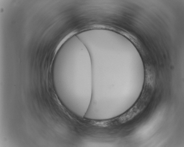 X0000066541198200603311837