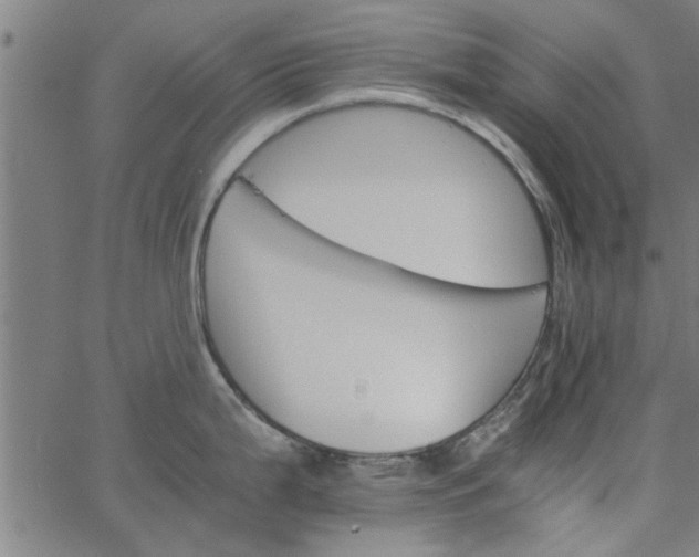 X0000066541199200603311837