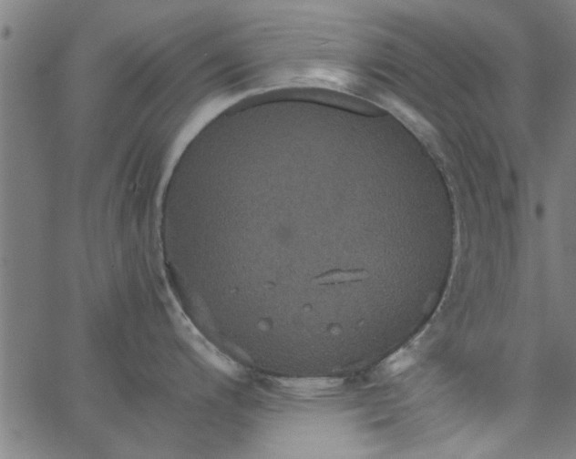 X0000066541200200603311837