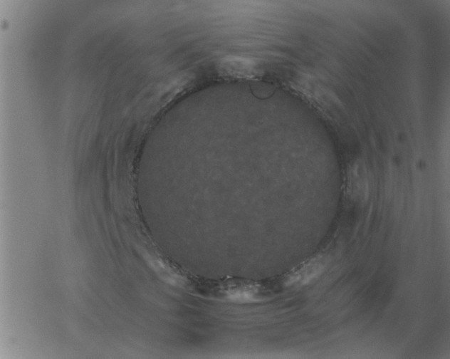 X0000066541201200603311836