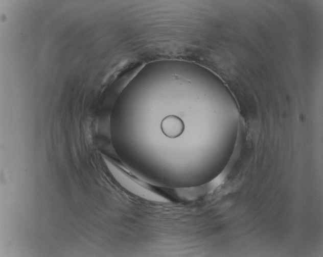 X0000066541202200603311836