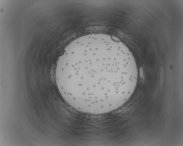 X0000066541203200603311836