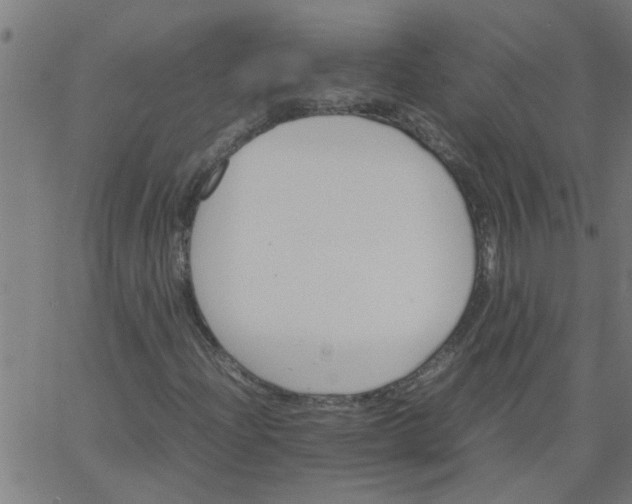 X0000066541204200603311836