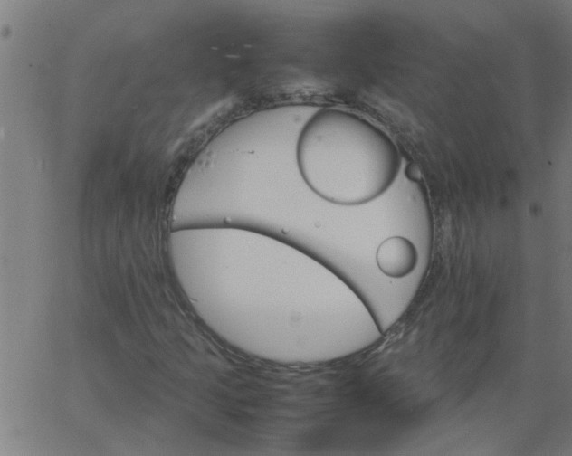 X0000066541205200603311836