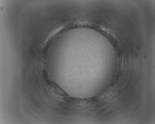 X0000066541207200603311836