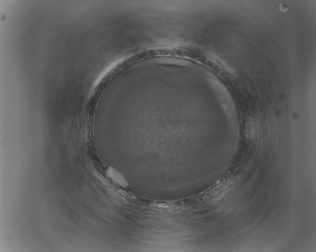 X0000066541208200603311836