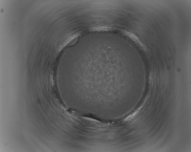 X0000066541209200603311836