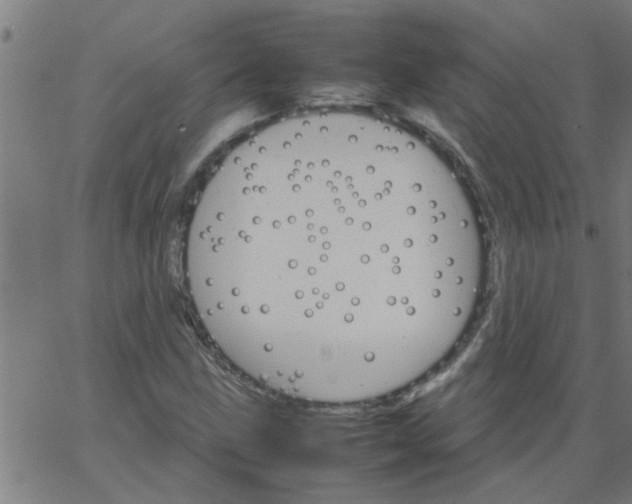 X0000066541211200603311836