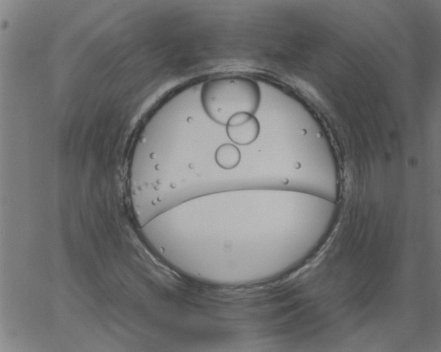 X0000066541212200603311836