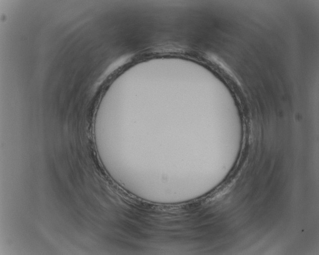 X0000066541213200603311836