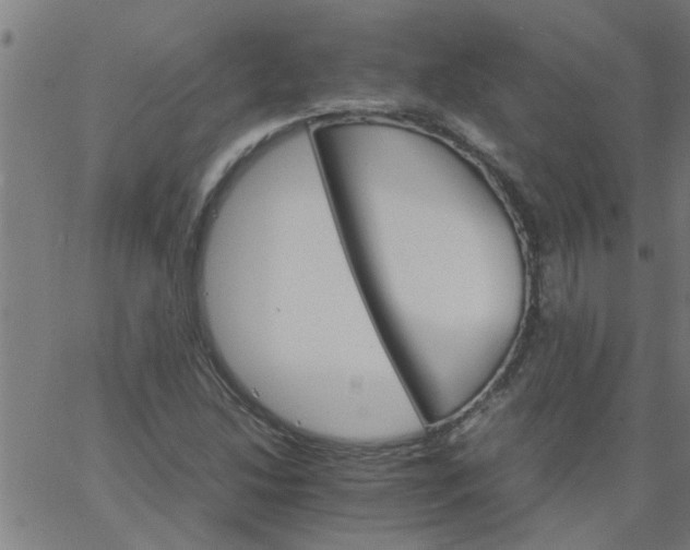 X0000066541214200603311836