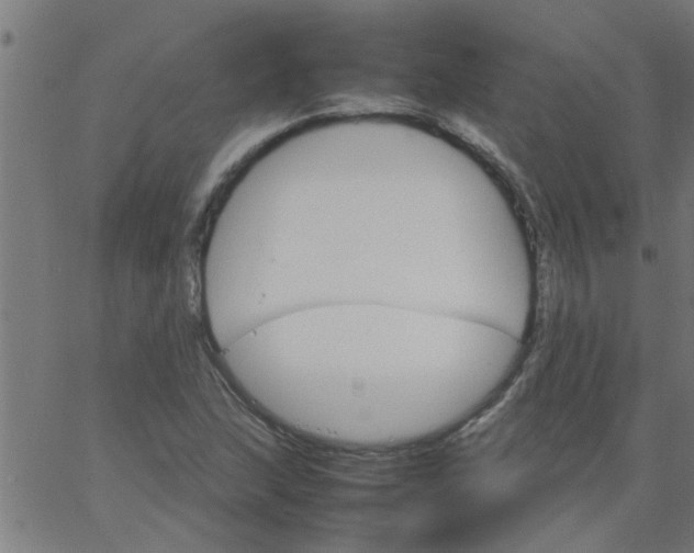 X0000066541215200603311836