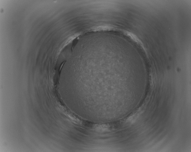 X0000066541217200603311836