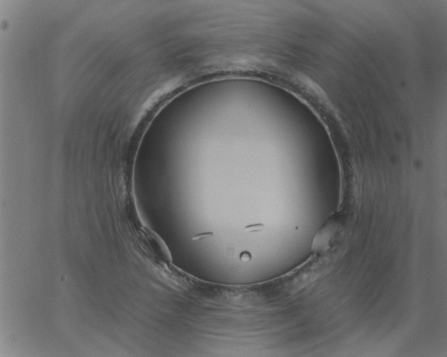 X0000066541218200603311836