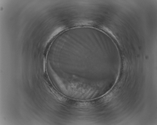 X0000066541219200603311837