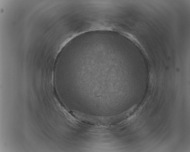 X0000066541220200603311837