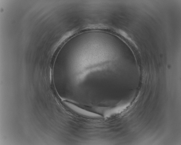 X0000066541221200603311837