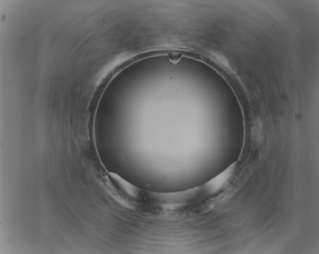 X0000066541222200603311837