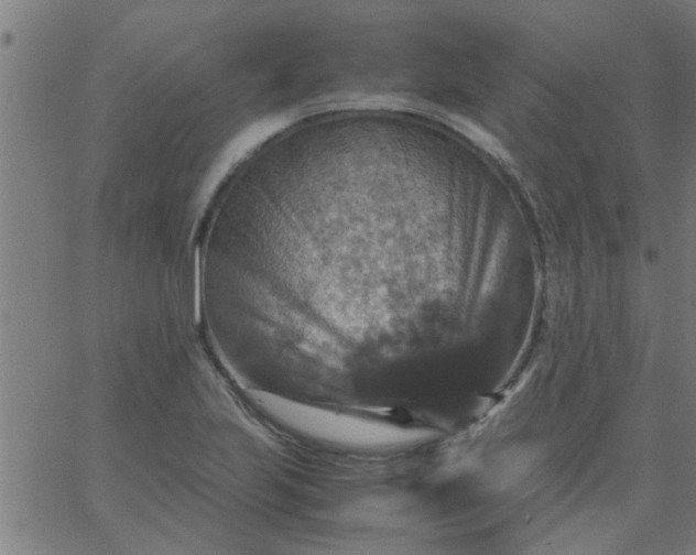 X0000066541223200603311837