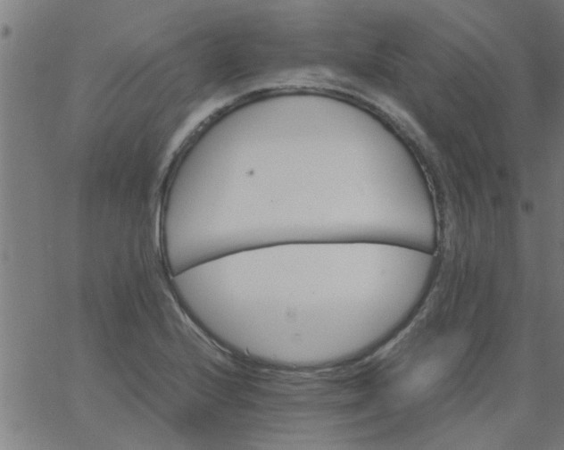 X0000066541224200603311837