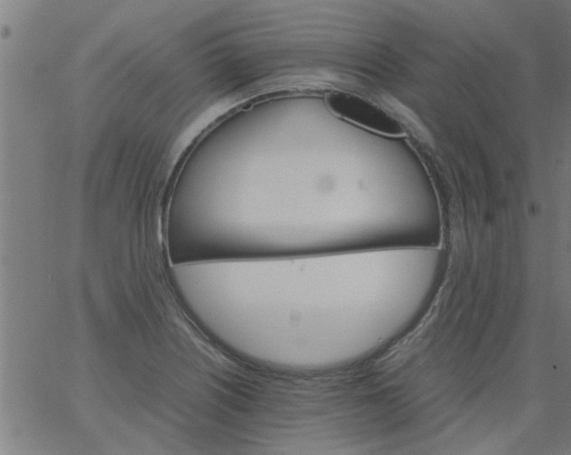 X0000066541226200603311837