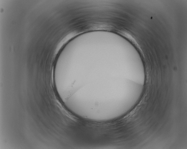 X0000066541227200603311837