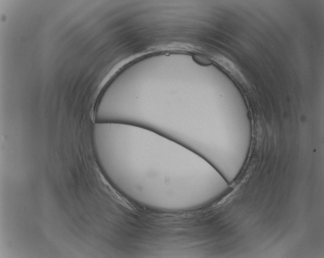 X0000066541228200603311837