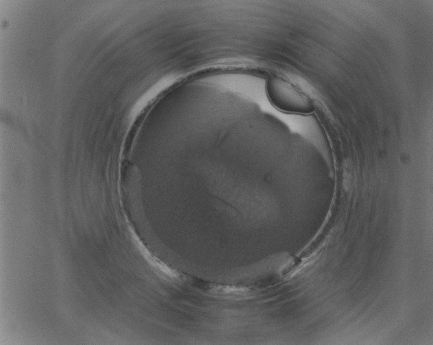 X0000066541229200603311837