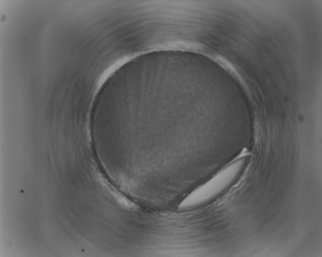 X0000066541230200603311837