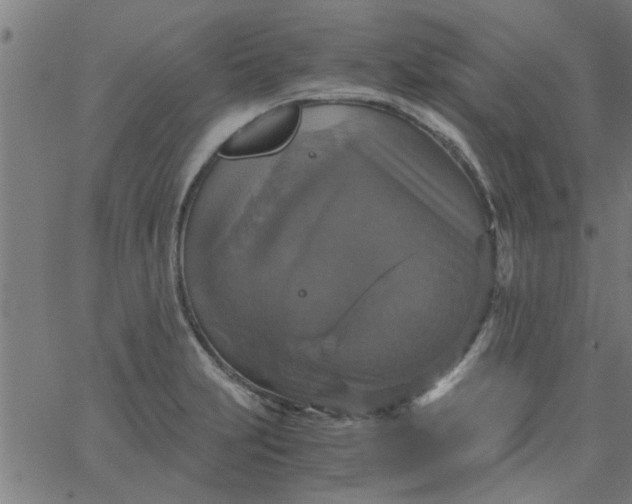 X0000066541231200603311837