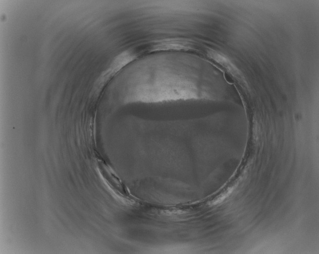 X0000066541233200603311837