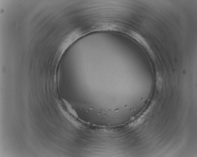 X0000066541234200603311837