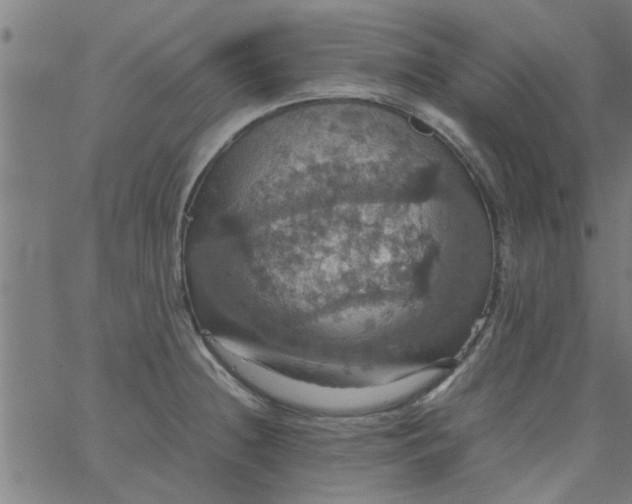 X0000066541236200603311837