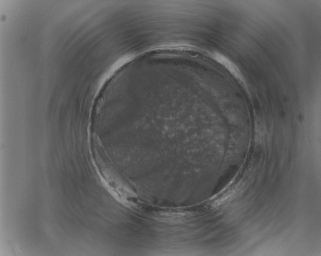 X0000066541237200603311837