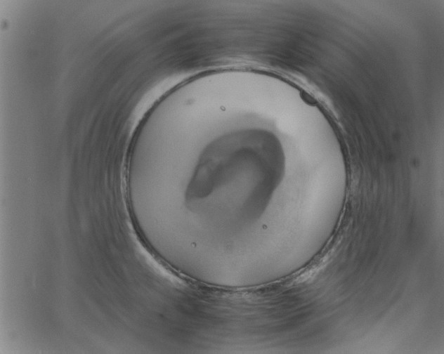 X0000066541239200603311837