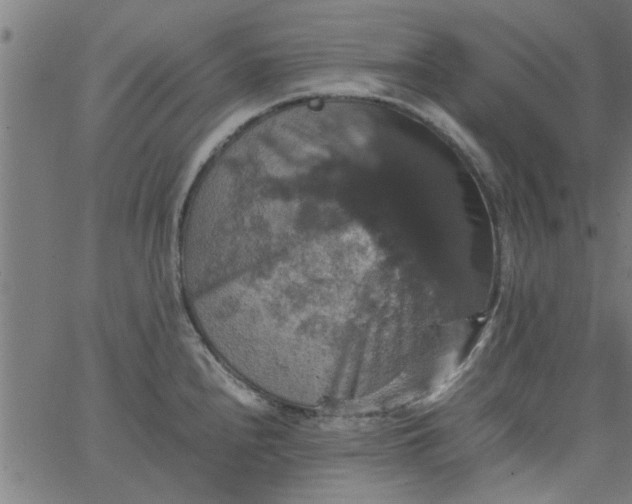 X0000066541240200603311837