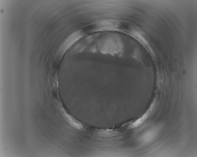 X0000066541241200603311837