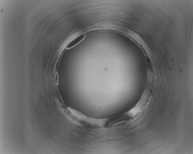 X0000066541242200603311837