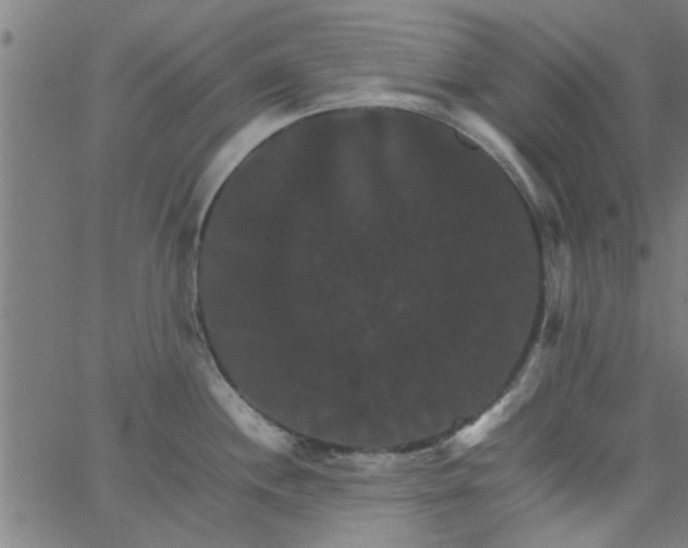 X0000066541244200603311837