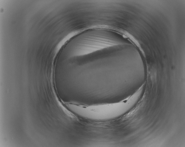 X0000066541245200603311837