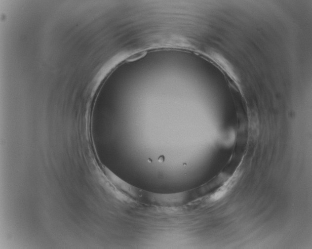 X0000066541246200603311837