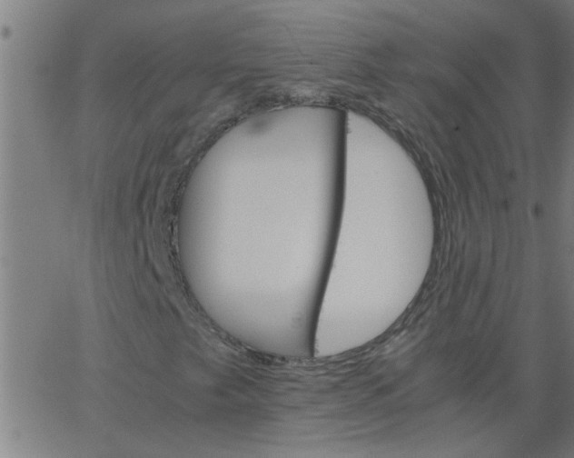 X0000066541249200603311836