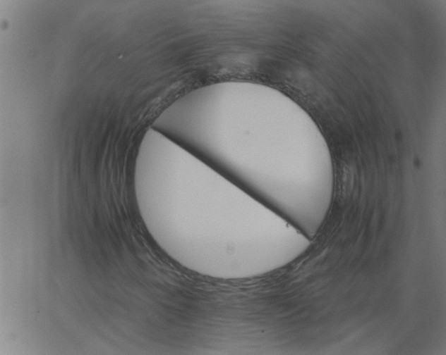 X0000066541250200603311836