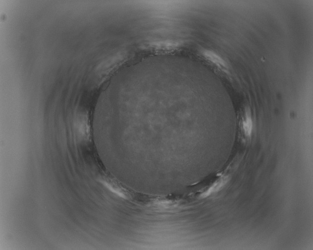 X0000066541252200603311836