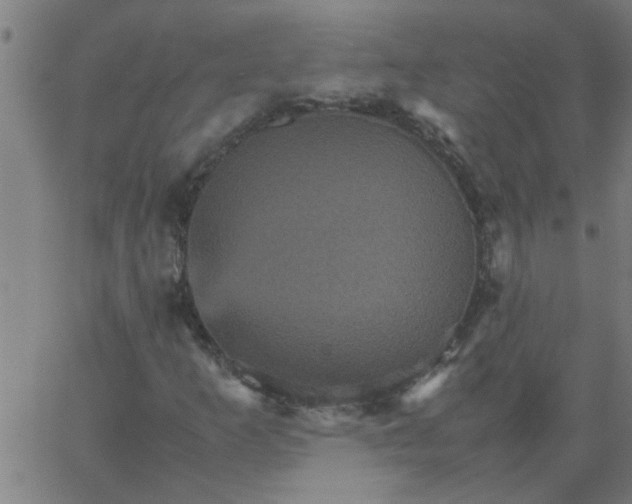 X0000066541253200603311836