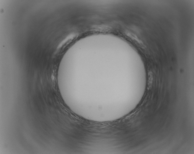 X0000066541254200603311836