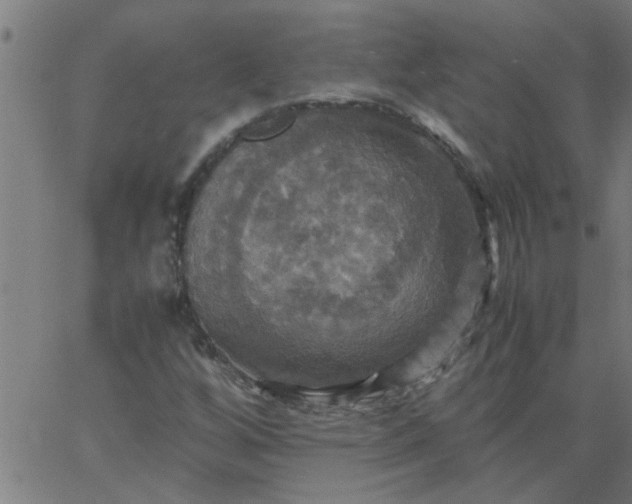 X0000066541256200603311836