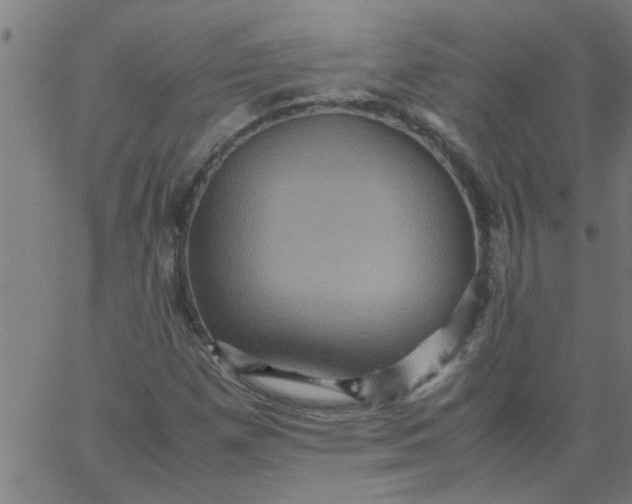 X0000066541257200603311836