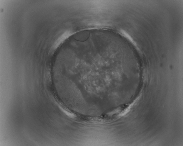 X0000066541259200603311836